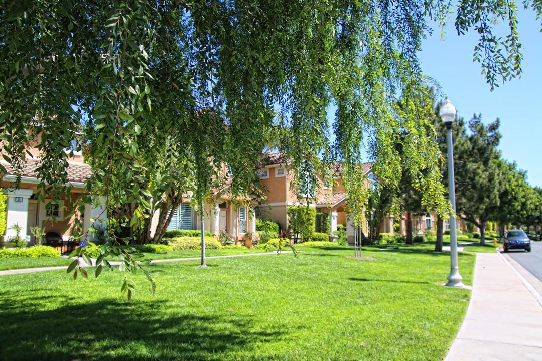 Work Image